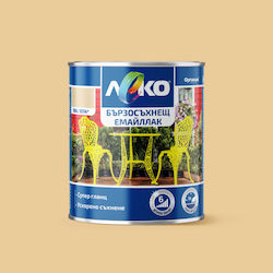 Leko Αντιδιαβρωτικό 0.65lt Γκρι Γυαλιστερό