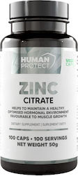 Human Protect Citrate 50мг 100 капси Human Protect Citrate 50мг 100 капси