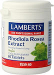 Lamberts Rhodiola Rosea Extract Rhodiola 60 ταμπλέτες