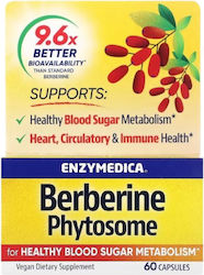 Enzymedica Berberine Phytosome 60 κάψουλες