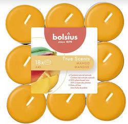 Bolsius Lumânări Mici True Scents Cu Miros De M...