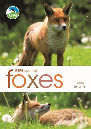 Rspb Spotlight: Foxes Rspb Spotlight: Foxes