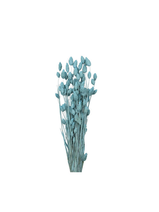 Dried Plant Grass Blue 1pcs