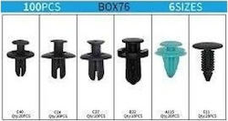 Raistar Car Plastic Clips 100pcs