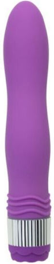 Pipedream Vibrator Classic Vibrator 21cm Purple