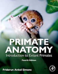 Primate Anatomy