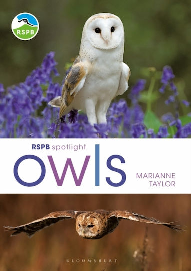 Rspb Spotlight Owls