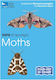 Rspb Id Spotlight