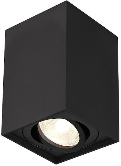 Braytron Monos Spot cu Soclu GU10 în Culoare Negru