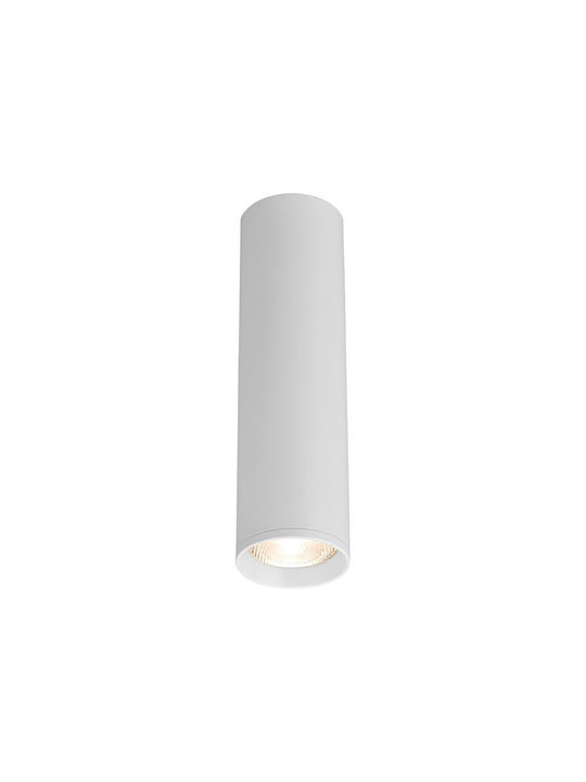 Braytron Single Spot with Socket GU10 in White Color