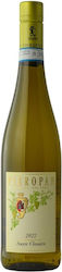 Pieropan Λευκό Ξηρό 750ml