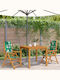 Scaun de exterior Lemn Masif 2buc 57x70x109cm