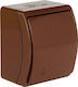 Elektro Plast Waterproof Wall Switch Lighting with Frame Brown