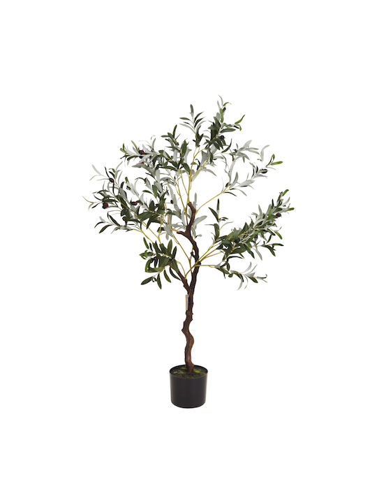 Ελιά σε Γλάστρα 120cm