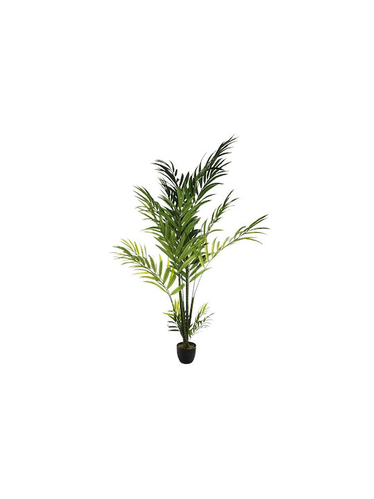 Areca-Palme in Topfpflanze 235cm Atmosphera