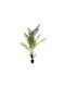 Areca-Palme in Topfpflanze 235cm Atmosphera