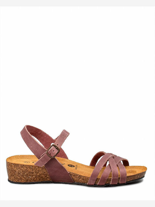 Oak & Hyde Women's Flat Sandals Anatomic in Burgundy Color