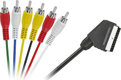 Cabletech Cablu Scart de sex masculin - Bărbat compozit 1.2m Negru LEC-KPO2711-1 2