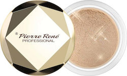 Pierre René Royal Dust loser Highlighter 02 3,5g Pierre René Royal Dust loser Highlighter 02 3,5g