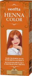 Venita Nº 5 Paprika Venita Nº 5 Paprika