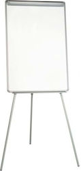 Bi-Office Magnetic Dry Erase Board for Seminar with Tripod