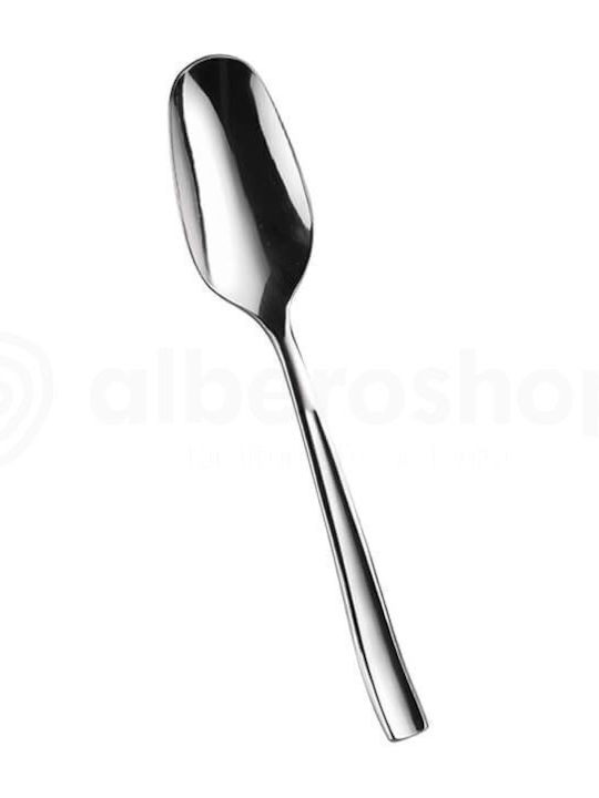 Pintinox Spoon Set Fruit