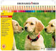 24-Piece Colored Pencils Set in Metal Case N514823 Eberhard Faber 4087205148238