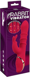 You2Toys Vibrator Red
