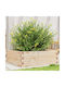 vidaXL Planter Box Lemn Maro 70x70x23cm.