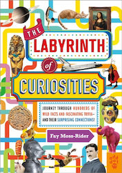 Labyrinth of Curiosities (Hardcover)