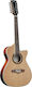 Eko Klassisch Gitarre
