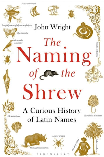 Naming of the Shrew