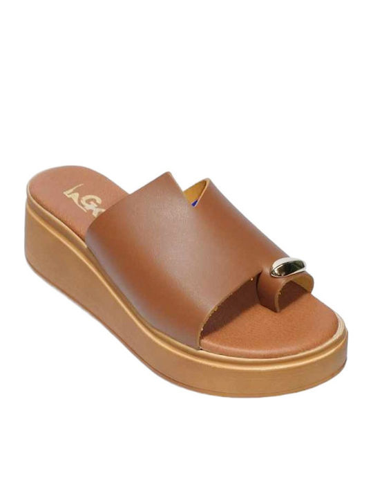 Gk Shoes