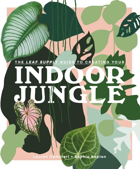 Leaf Supply Guide To Creating Your Indoor Jungle