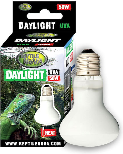 Aqua Nova Accessory for Reptiles Terrarium