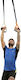 Softee Fitness Straps