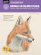 Drawing: Animals In Colored Pencil
