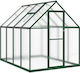 vidaXL 4005835 Greenhouse House Type with Alumi...