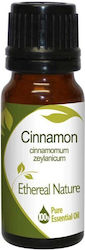 Cinnamon Essential Oil 10ml