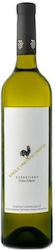 Oinopoieio Papagiannakos Single Vineyard Бял Сух Шампоан 750мл