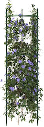 vidaXL 4009283 Suporturi pentru plante 116cm Set de 2buc