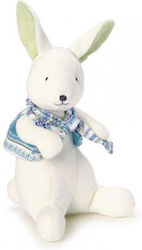 Plush & Soft Toys Käthe Kruse Bunnies