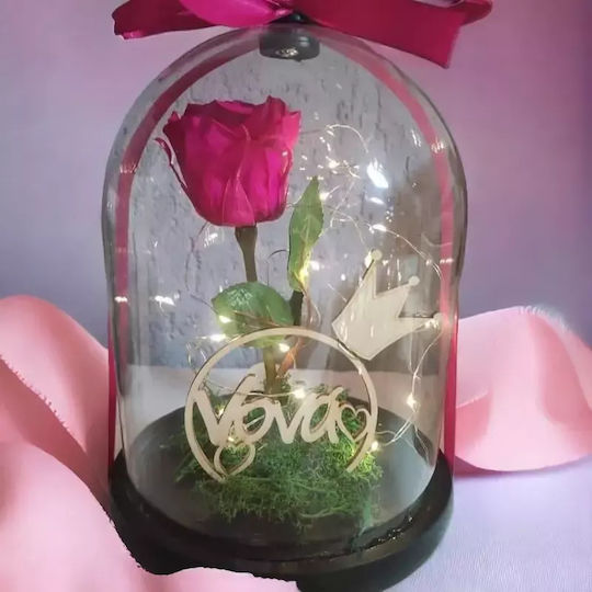 Eternal Rose Fuchsia 25cm in Yala