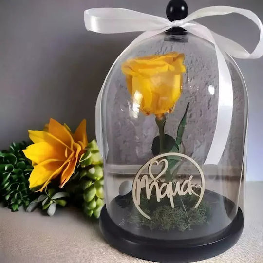 Ewige Rose Gelb 25cm in Yala