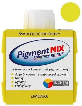 Wasserlöslich Handwerkliche Farbe Grün 80ml