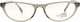 Carlo Rossi Damen Acetat Brillengestell Grau PL.17179-C10