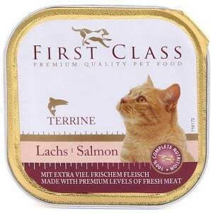 First Class Terrine Wet Food for Cats in Trays with Salmon 100gr