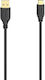 HAMA USB 2.0 Cable USB-C male - USB-A Χρυσό 0.75m 00200634