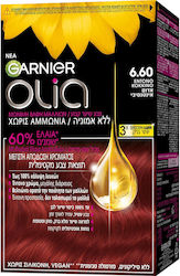 Garnier Olia Vopsea de Păr Fără Amoniac 6.60 Ro...
