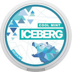 Iceberg Дъвки за дъвчене 20бр